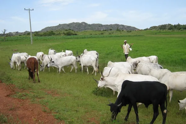 BREAKING: Tiv Traditional Council Orders Herdsmen To Leave Benue By End Of May