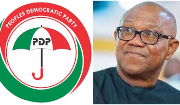 PDP Should Look At Bringing Peter Obi Back Into Its Fold, Says Sowunmi