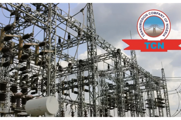NERC Seeks FG’s Intervention Over $12m Electricity Debt