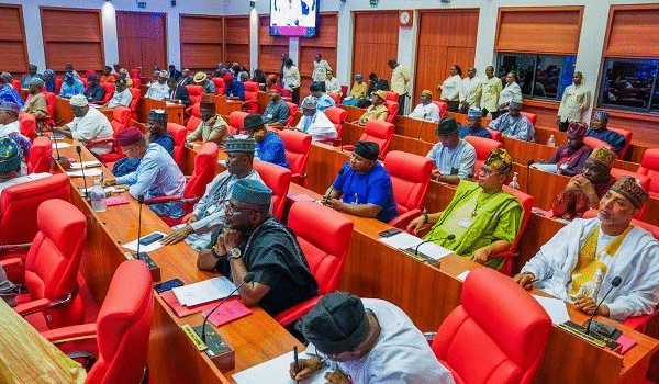 Senate Launches Investigation Into Ponzi Schemes