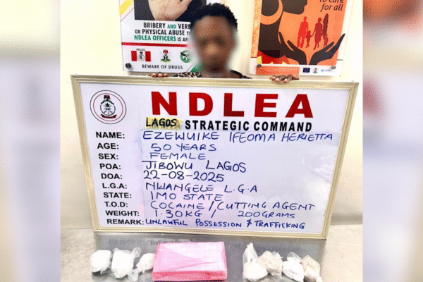 NDLEA Arrests Widow For Alleged Cocaine Trafficking With Fake Pregnancy
